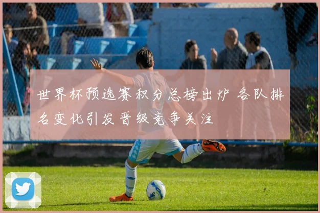 世界杯预选赛积分总榜出炉 各队排名变化引发晋级竞争关注